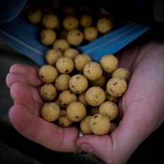 Cream Seed Boilies 18mm 1kg
